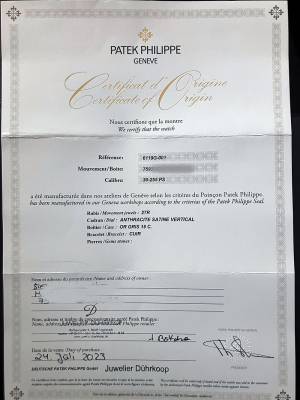 Preview: Patek Philippe Calatrava WG 6119G, Tresoruhr Full Set, Wempe