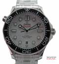 Omega Seamaster Diver 300M 210.30.42.20.04.001